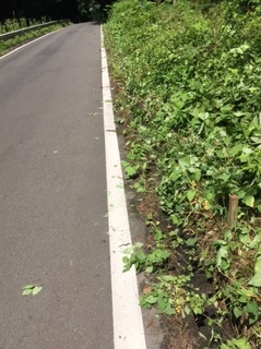 溝.jpg